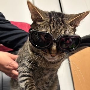 Meet your Posher, Angela